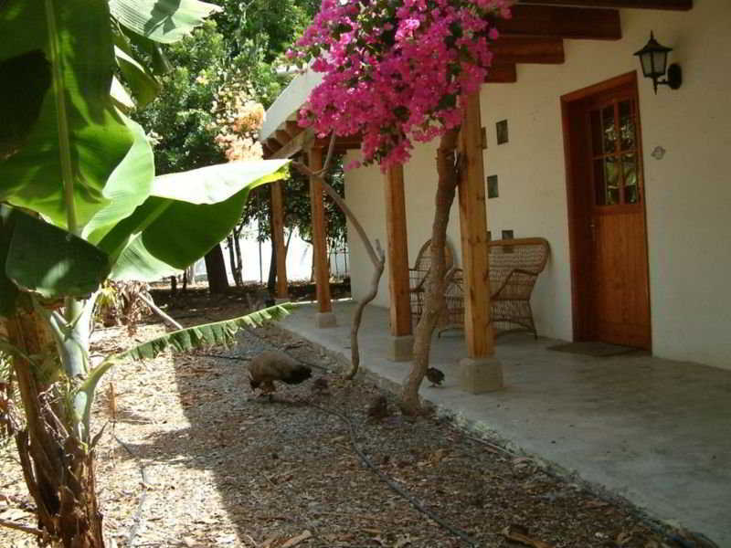 Cho Manuel Residence Maspalomas  Exteriör bild